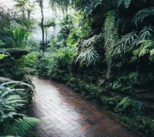 Beheer en onderhoud bungalowparken